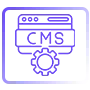 CMS Development